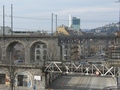 CIMG5735.JPG