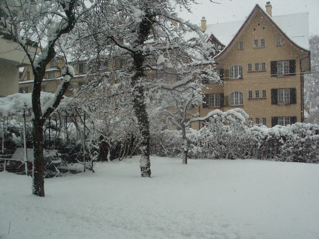 CIMG5802.JPG